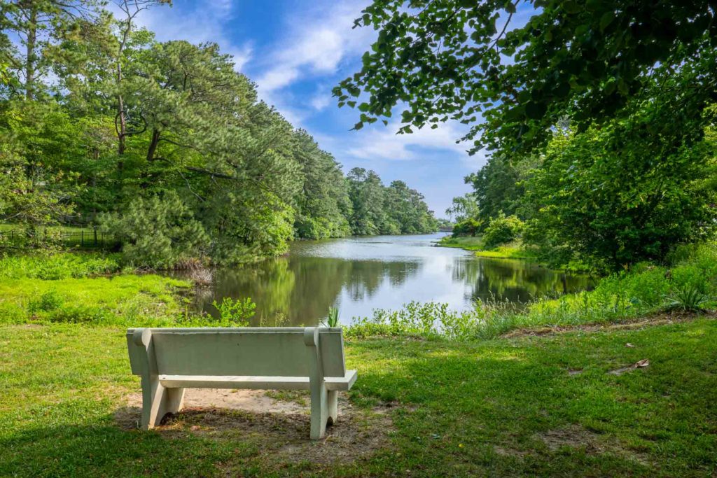 A bench in front of pond by the woods at Lake Gerar park.